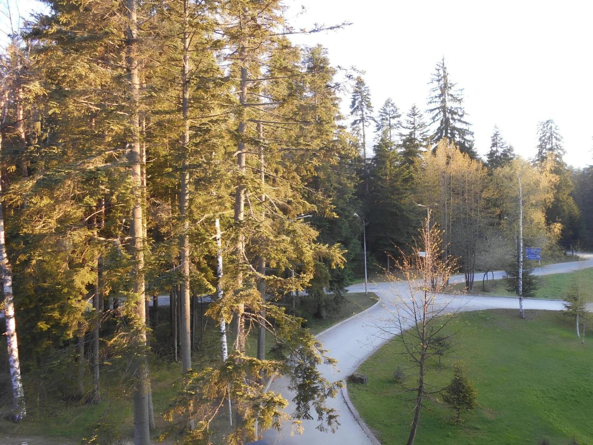 Neat Studios In "Borovets Gardens" Hotel Exterior photo